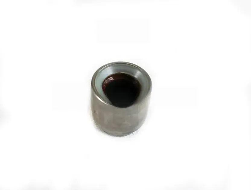 Shop Now FAG Clutch Pilot Bearing - 034105313A