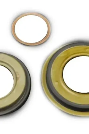 SSP Viton Clutch Basket Seals For 02E Hot Picks