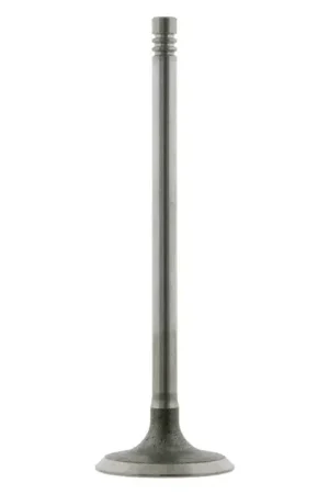 Best Price Febi Bilstein Engine Intake Valve - 11341438451