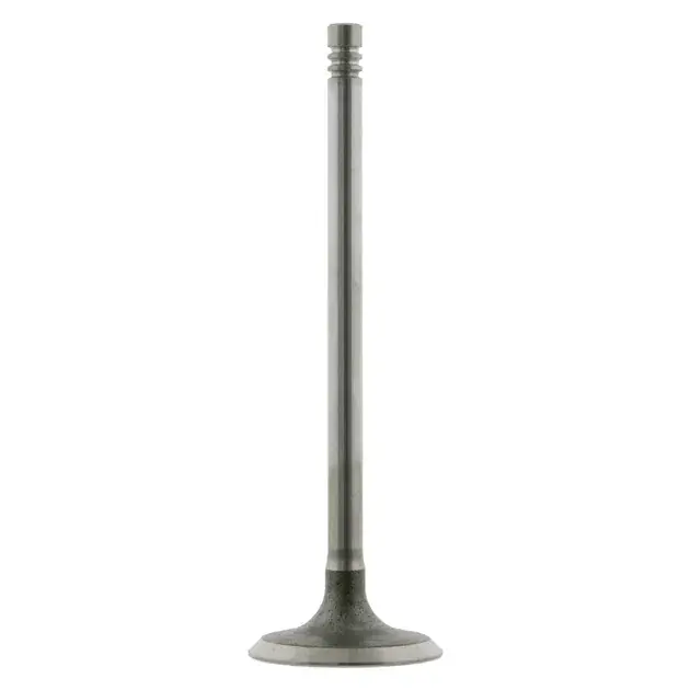 Best Price Febi Bilstein Engine Intake Valve - 11341438451
