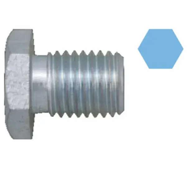 Place Order Corteco Engine Oil Drain Plug - 11137535106