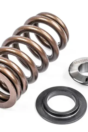Get Yours APR Valve Spring System For VW/Audi/Porsche - 1 Set