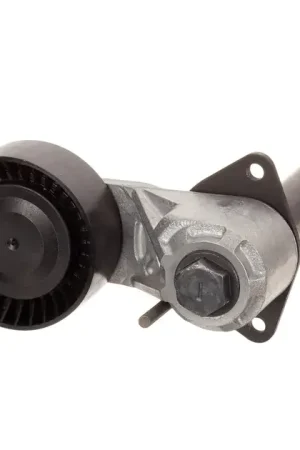 INA Accessory Drive Belt Tensioner - 11287799851 Direct From Manufacturer