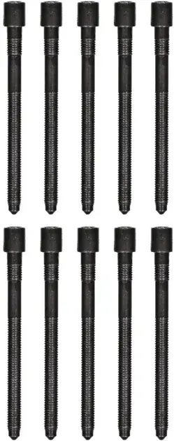 Express Delivery Victor Reinz Engine Cylinder Head Bolt Set - 06A198385A