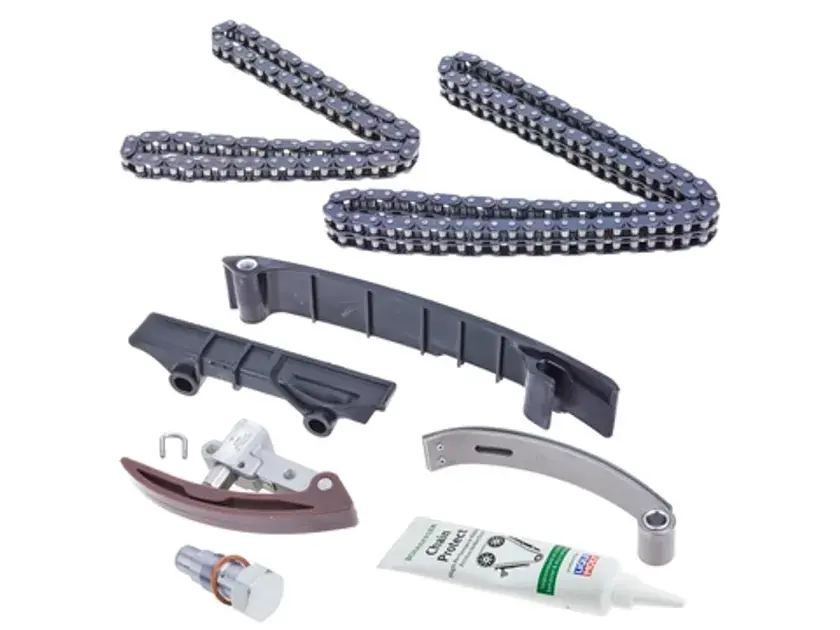 Free Delivery INA Engine Timing Chain Kit - 021109503AS