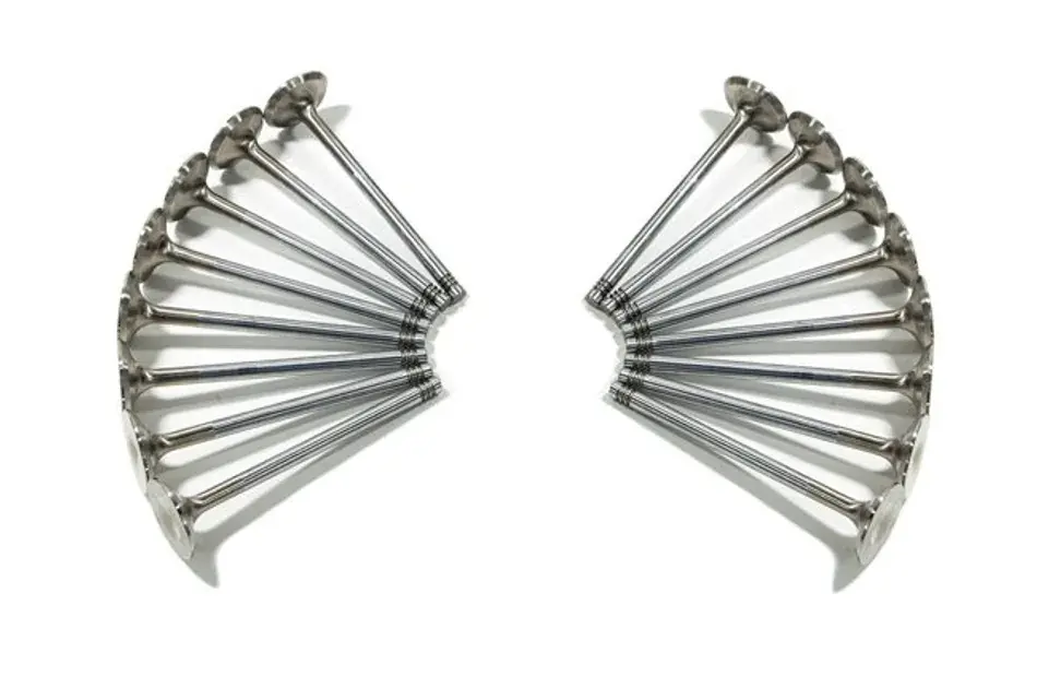 Hot Deal Ferrea Intake and Exhaust Valves Kit For Audi/VW 2.0T FSI