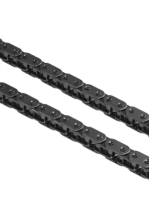 INA Engine Oil Pump Chain - 11417572531 Warranty Included