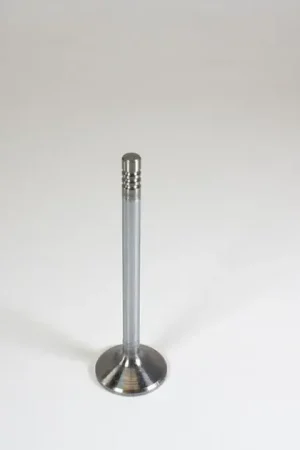 Buy Online CRP Engine Intake Valve - 1397641