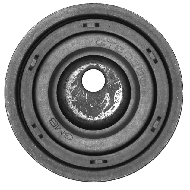 Free Returns INA Engine Timing Belt Tensioner - 068109243F