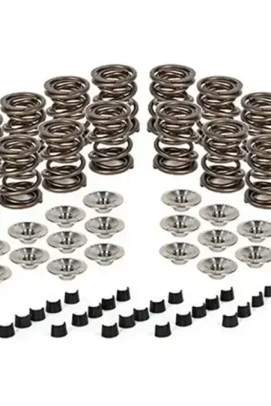 Don’t Miss Out Ferrea Valvetrain Kit For VR6 Ferrea 12v 2.8L