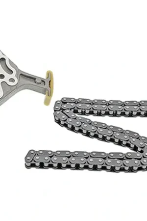 Direct From Manufacturer INA Timing Chain Kit - 5580038100