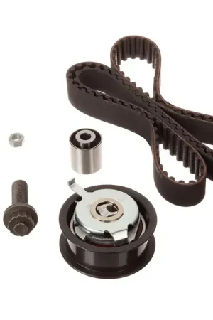 Free Delivery INA Engine Timing Belt Kit - 028198119C