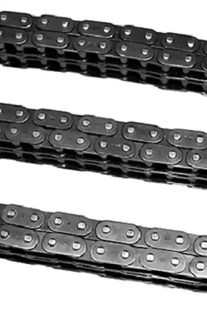 Reduced Price INA Engine Timing Chain - 11311403081
