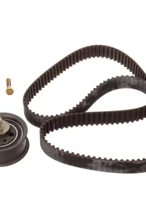 INA Engine Timing Belt Tensioner - 058198119 Modern