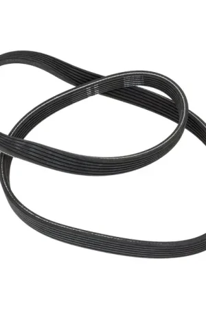 INA Serpentine Belt - 066145933J Crafted