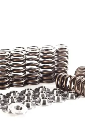 Direct From Manufacturer IE Valve Spring & Retainer Kit For FSI 2.0T