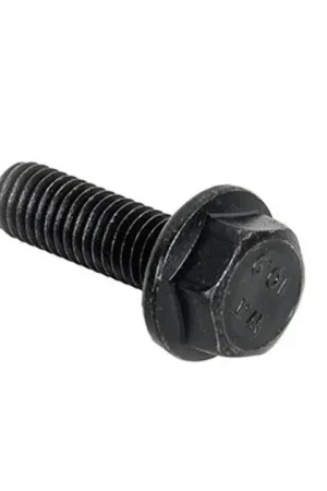 Budget OES M8x1.25mm Bolt- 25mm Length