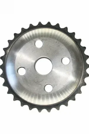 INA Timing Gear - 07K109571D Modern