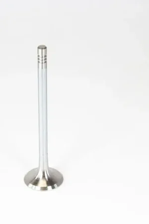 CRP Engine Exhaust Valve - 06D109611L Express Delivery