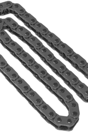 New Release INA Left Upper Engine Timing Chain - 13528572504