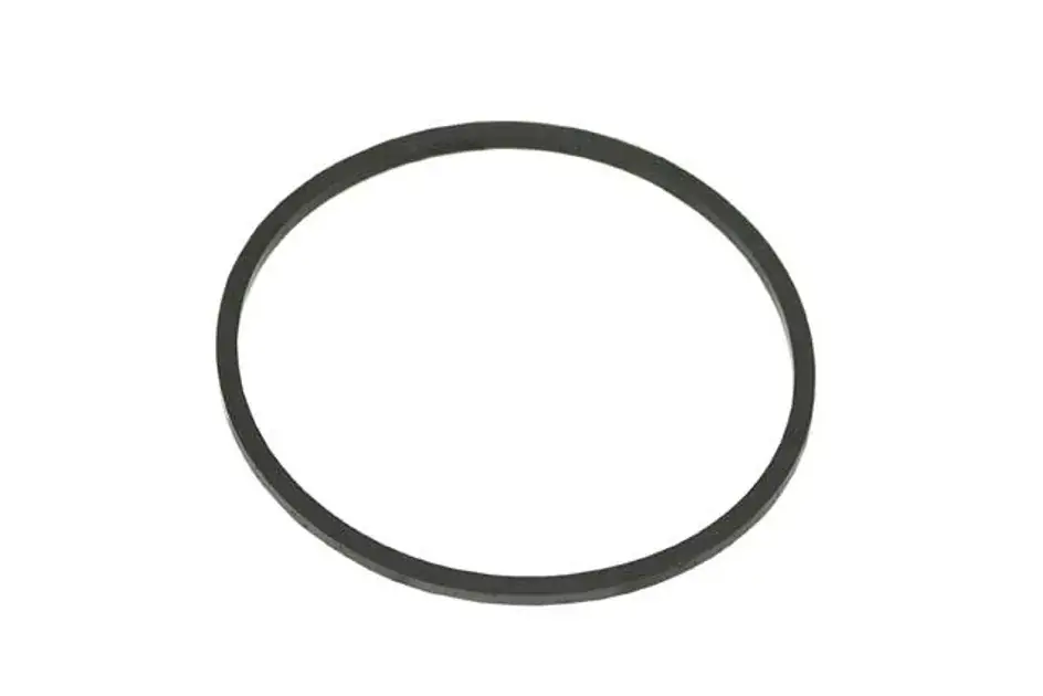 CRP Engine Oil Filter Gasket - 1009970040 New Release