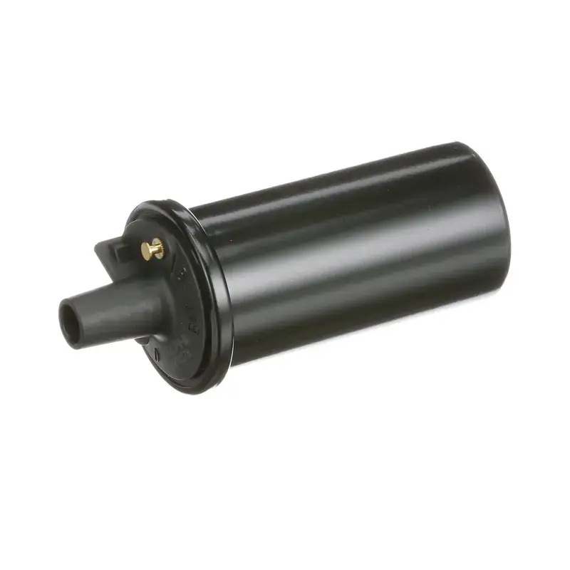 Last Chance GN10273 - Ignition Coil | Delphi
