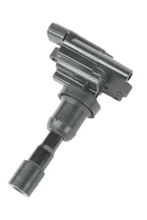 Free Shipping GN10385 - Ignition Coil | Delphi