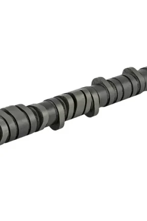 Direct From Manufacturer Skunk2 Tuner Series D-Series Honda Stage 2 Camshaft