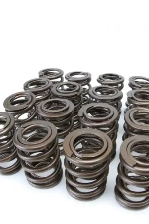 Skunk2 Tuner Series Honda/Acura (H22A/F20B) DOHC VTEC Alpha Valve Spring Set (Dual Springs) Mega Sale