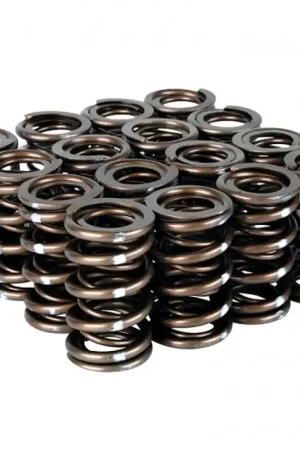 Skunk2 Pro Series Honda/Acura K-Series i-VTEC XP Valve Spring Set (Dual Springs) Discount