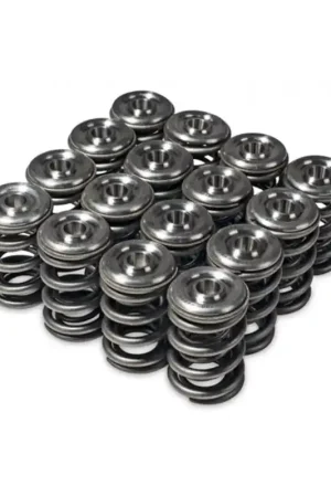 Instant Buy Skunk2 Alpha Series Honda/Acura H Series Valve Spring and Titanium Retainer Kit