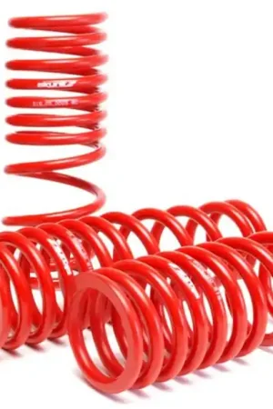 Skunk2 92-95 Honda Civic/Del Sol Lowering Springs (2.50in - 2.25in.) (Set of 4) Trusted Brand