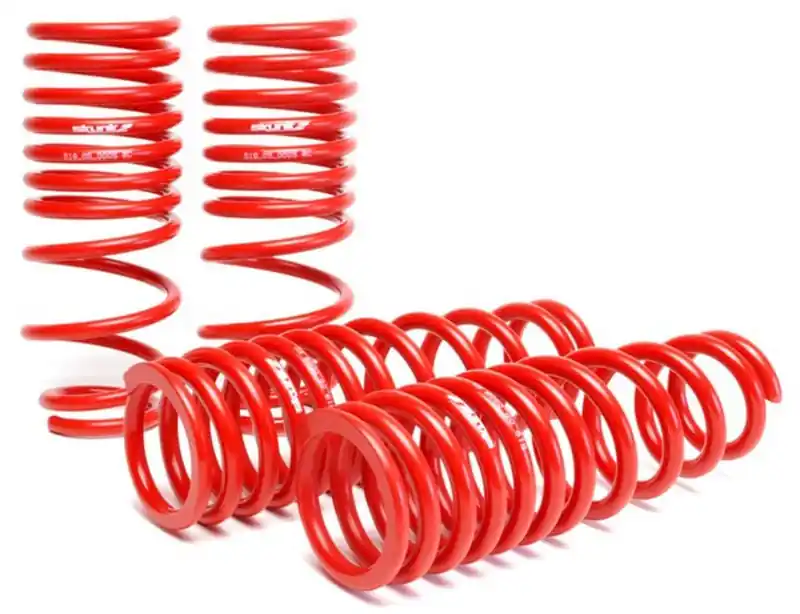 Skunk2 92-95 Honda Civic/Del Sol Lowering Springs (2.50in - 2.25in.) (Set of 4) Trusted Brand