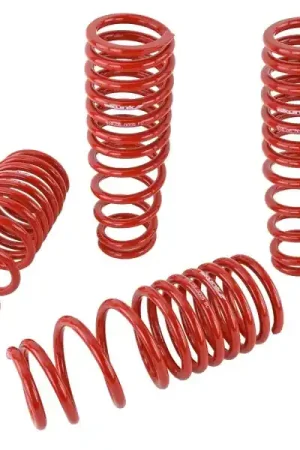 Skunk2 94-01 Acura Integra Lowering Springs (2.50in - 2.25in.) (Set of 4) Next Day Delivery
