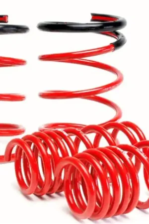Skunk2 02-04 Acura RSX Lowering Springs (2.25in - 2.00in.) (Set of 4) Get Yours