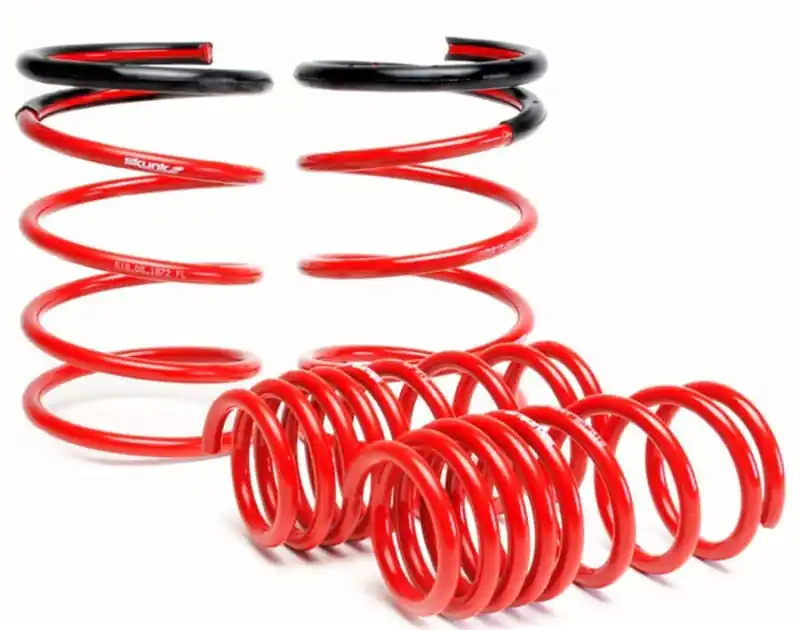 Skunk2 02-04 Acura RSX Lowering Springs (2.25in - 2.00in.) (Set of 4) Get Yours