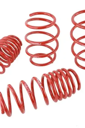 Skunk2 16-17 Honda Civic Lowering Springs (1.375in - 1.25in) (Set of 4) New Arrival