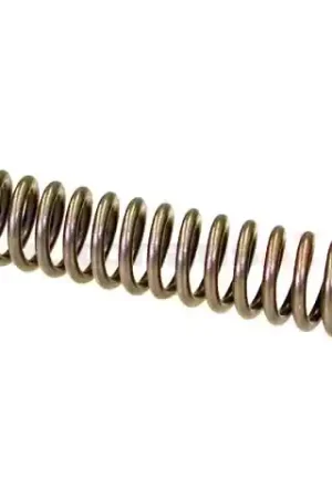 Free Shipping Genuine BMW 11411706809 Timing Chain Tensioner Spring; Coil Spring for Tensioner Piston - BMW