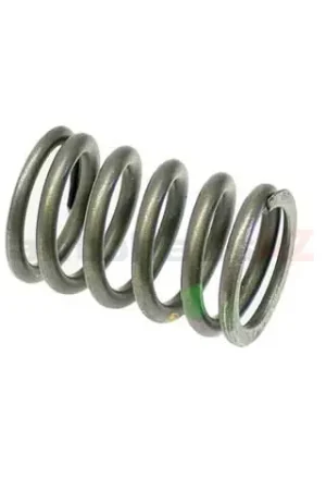 Genuine BMW 11341706583 Valve Spring; Outer; 30.2mm Diameter - BMW Holiday Sale