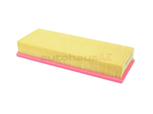 Today Only Mann 13721707021, C39161 Air Filter - BMW