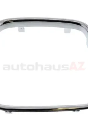 Limited Time BBR Automotive 51131973898, 0038012186 Grille Molding; Grille Trim for Right Center Grille (Narrow Kidney) - BMW