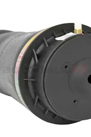 Bulk Order Arnott Industries A2596, 1663200325 Suspension Air Spring; Rear; Air Spring Portion of Rear Shock Absorber - Mercedes