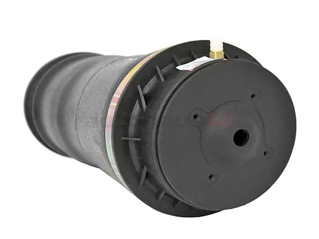 Bulk Order Arnott Industries A2596, 1663200325 Suspension Air Spring; Rear; Air Spring Portion of Rear Shock Absorber - Mercedes