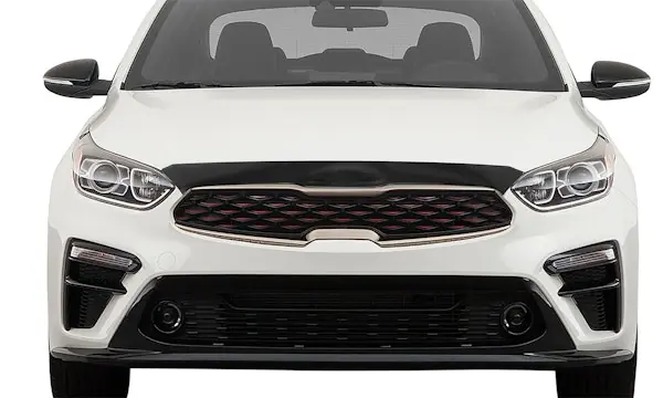 AVS 320084 Aeroskin Hood Protector; Smoke Deal