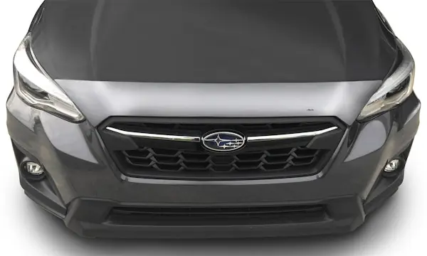 Same Day Shipping AVS 620079 Aeroskin Hood Protector; Chrome