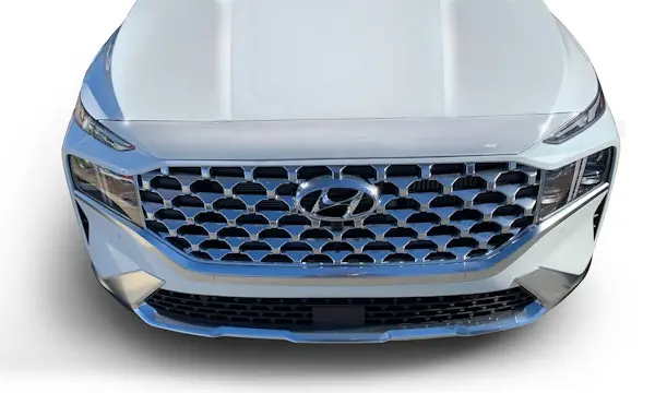 Trusted Brand AVS 622197 Aeroskin Hood Protector; Chrome